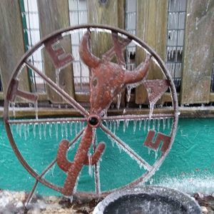 Meet your Posher, Priscilla